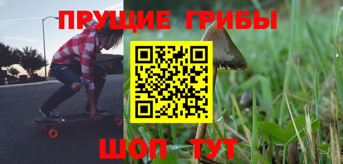 Клинцы  Псилоцибиновые грибы прущие грибы  Вход с VPN  Галлюциногенные грибы мухоморы 