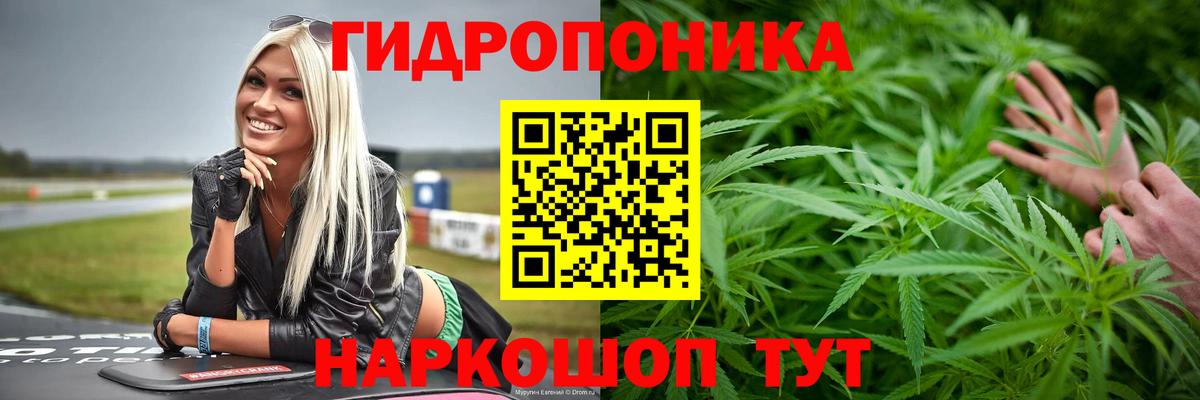 Марихуана тримм  Вход с VPN  Конопля Bruce Banner  Канабис SATIVA & INDICA  Бошки марихуана Ganja  Клинцы 